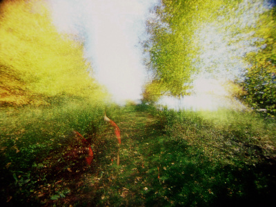 Brouillard #14