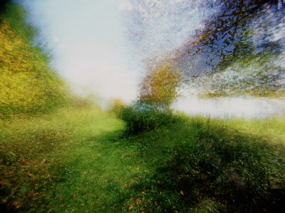 Brouillard #14