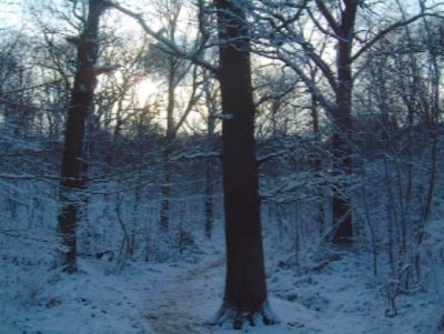 Chemin, Neige, Bruits