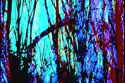 Deep Red Deep Red