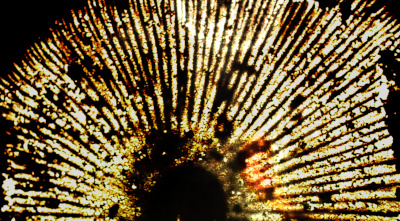 Into The Light: The Film Resistance