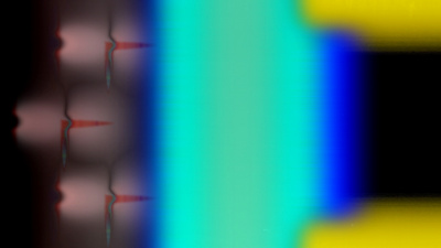 The Garden Of Electric Delights