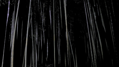 Variations for light and shadow