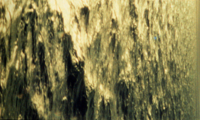 Waterfilm