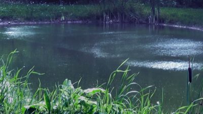 Wind Waves / Rumble Mumble