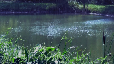 Wind Waves / Rumble Mumble