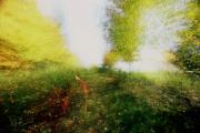 Brouillard #14