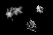 Snow Crystals